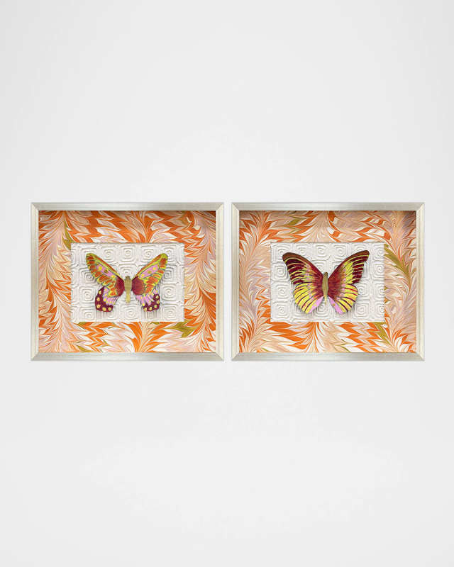 "Flight Patterns II" Alternative Wall Art, Set of 2